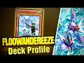 Undefeated Floowandereeze Deck Profile 🐦