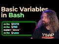 Basic Variables (setting, modifying, storing command output) - Bash Scripting Course (pt9)