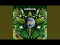 Message from Earth