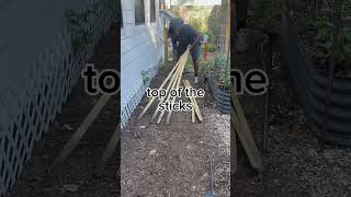 Easy DIY gardening trellis