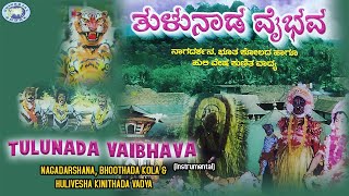 Vadya Sangeetha || Tulunada Vaibhava || Bhogra Serigara Aleuooru || Instrumental Live Video