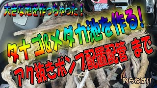 タナゴ＆メダカ池を庭に作ります（アク抜き ポンプ設置編）