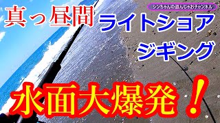 【ライトショアジギング】高知県仁淀川河口周辺サーフ　真夏の昼間に水面大爆発！！