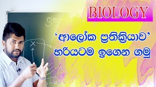 Biology EP02 -  Aloka Prathikriyawa | ආලෝක ප‍්‍රතික‍්‍රියාව | A+ for AL