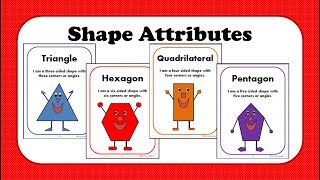 Shape Attributes