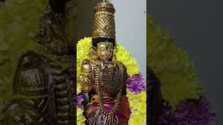 மயக்கும் அழகு... ரசித்து பாருங்கள்... பெருமாளை...