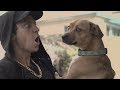 Eminem Disses Everything (MGK Response) (Parody)