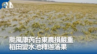 康芮颱風全台46萬戶停電 各地災情整理｜中央社影音新聞