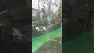 龍脈が見えた❗青森市の善知鳥神社(うとうじんじゃ)の龍神乃水(りゅうじんのみず)