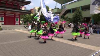 ぴょんぴょん天手子舞１－ＶｉＮＡＷＡＬＫよさこい２０１６