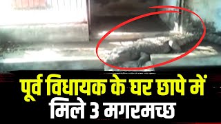 Sagar News : पूर्व विधायक के घर छापे में मिले 3 मगरमच्छ। वन विभाग ने किया रेस्क्यू