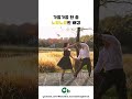 스윙댄스 영상 swing dance 가을가을한 춤 노랑노랑한 배경 댄스 스윙댄스 shorts 린디합 스윙댄스 댄스 swingdance