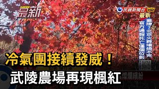 冷氣團接續發威！ 武陵農場再現楓紅－民視新聞