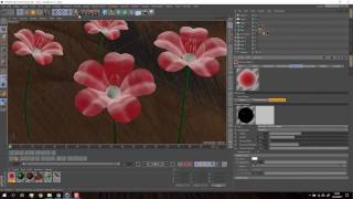 Cinema 4d Flower