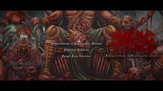 DECLINE OF ORDER - INTERPRETATIONS OF PSYCHOPATHIC IDEATION [OFFICIAL EP STREAM] (2025) SW EXCLUSIVE