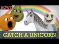 HOW2: How to Catch a Unicorn! ππ¦