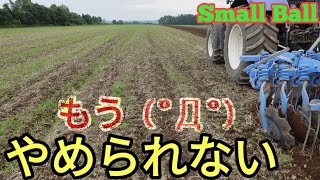 【小麦連作】とりあえずガチでプラウをやめてみる【簡易耕起・不耕起】