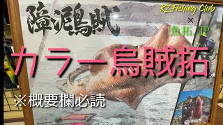 【エギング】モンスターアオリイカをカラー魚拓にしてみた!!#カラー魚拓#おすすめ#デジタル魚拓