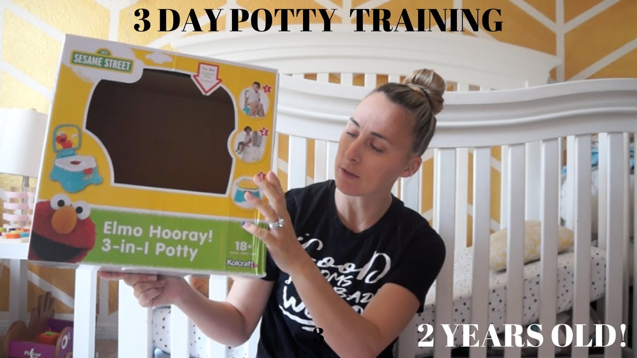 3 Day Potty Training Youtube