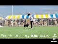 2021年10月31日ドッグダンスショーの様子