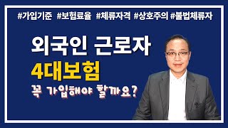 외국인 근로자 4대보험, 꼭 가입해야 할까요??