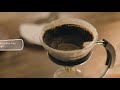 how to use a v60 coffee server whittard of chelsea