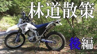 【WR250R】埼玉・ときがわ周辺の山々で林道散策ツーリング・後編：堂平山線（ノーカット）【Motovlog】