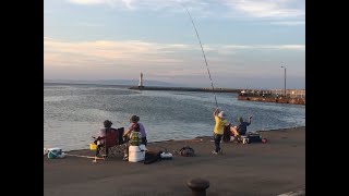 2021年7月22日　深日港(夕マヅメ)