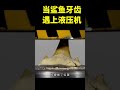 当鲨鱼牙齿遇上液压机、究竟会发生什么？ 鲨鱼  液压机  科普  shorts