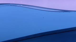 Orbital particles, How water moves in a wave.