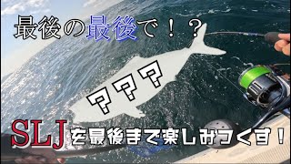 帰港途中にまさかの！？ライトなタックルでSLJを最後まで楽しみ尽くす！