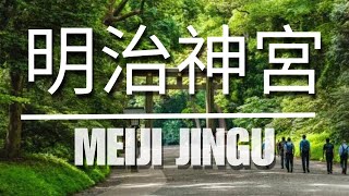 Meiji Jingu 明治神宮　#live #japan