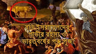 বেয়াড়া সম্প্রদায় বনি ইসরায়েলদের গাভীর রহস্য ও ভারতবর্ষের গরু পূজা যেভাবে শুরু হল