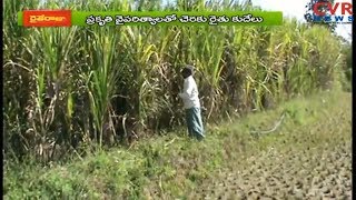 సిక్కోలులో చెరకు సాగు |Srikakulam District Aims to Increase Sugarcane Produce |Raihe Raju | CVR NEWS