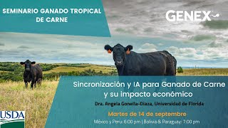 Sincronización y IA para ganado de carne y su impacto económico