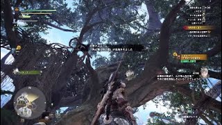 MHW#19 古代竜人探しと飛竜リオレウス挑戦*