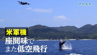 米軍機が座間味でまた低空飛行【ホエールウォッチング中】