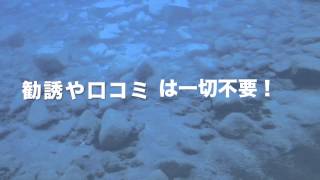 【新時代のビジネス戦略】アムウェイは時代遅れ？！ネットワークビジネス新手法？！