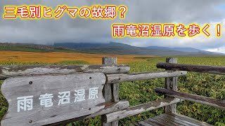 【三毛別羆の故郷？】ヒグマの巣窟！雨竜沼湿原ハイキング