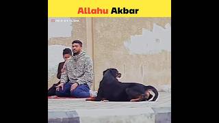 Dog vs Muslim Boy Namaz Viral Video | Miracle of Allah | #shorts #allah #viral #trending #namaz