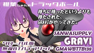 【トラックボール】SANWASUPPLY GRAVI GMAWBTTB138 (400-MAWBTTB138)