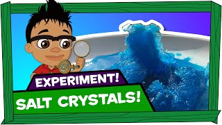 Kid Experiments: Salt Crystals - Darwin and Newts