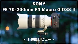 【SONY FE 70-200mm F4 Macro G OSS II １週間レビュー】軽量・コンパクト・マクロ！このレンズの良い点・悪い点