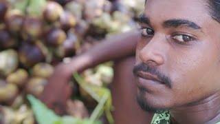 சுடுகாட்டில் உச்சி வெயிலில் நுங்கு வெட்டலாம் வாங்க #villagevlog #sivagangai #naturefoods #funny