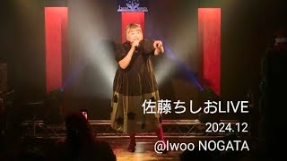 佐藤ちしおLIVE 2024.12.21【Lady Go!!】@Iwoo NOGATA