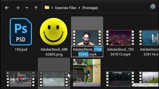 Using the Exercise Files | How to Practice Along with the Course
