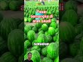 pasar semangka di arab saudi #videoviral #petani #semangka #shorts #shortvideo