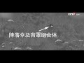 “祝融号”火星车完成既定探测任务 cctv