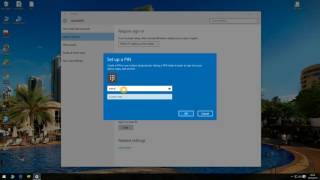 How to set pin password in windows 10 enviroment