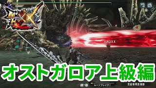 【モンハンXX】　初見で討伐　【MHダブルクロス】